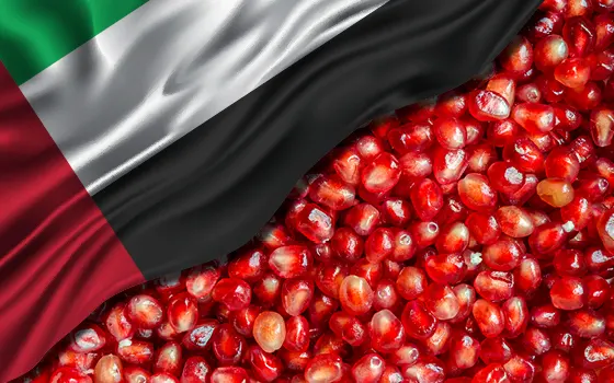 uae